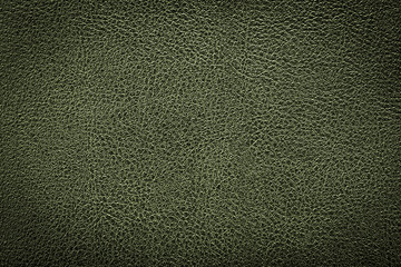 Green leather texture, leather background for design with copy space for text or image. Pattern of leather that occurs natural.