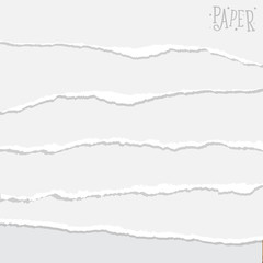 Fototapeta na wymiar Set of various white torn note papers. Vector illustration