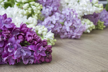 lilac flowers