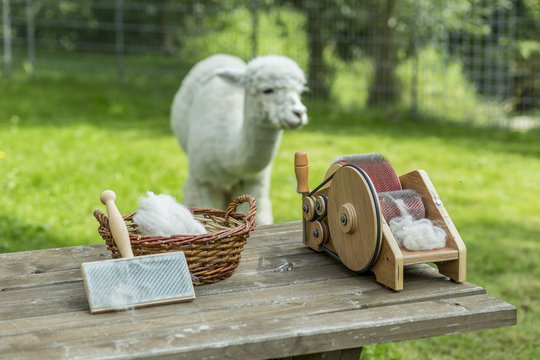 Preparing alpaca wool with drum carder for handspinning