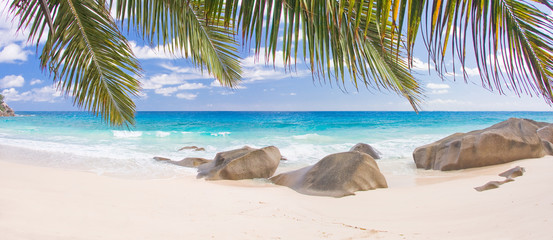 Wallpaper Plage Cocotiers Mahe Seychelles Acheter Cette Photo Libre De Free HD