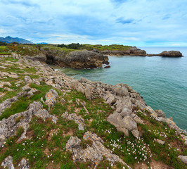 Bay of Biscay rocky coast, Spain. © wildman