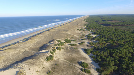 Landscape view of plane or drone of the Atlantic coast with water, sand and pines