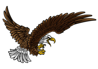 Fototapeta premium Eagle Swooping