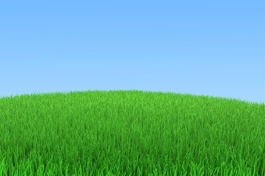 Green grass with blue sky