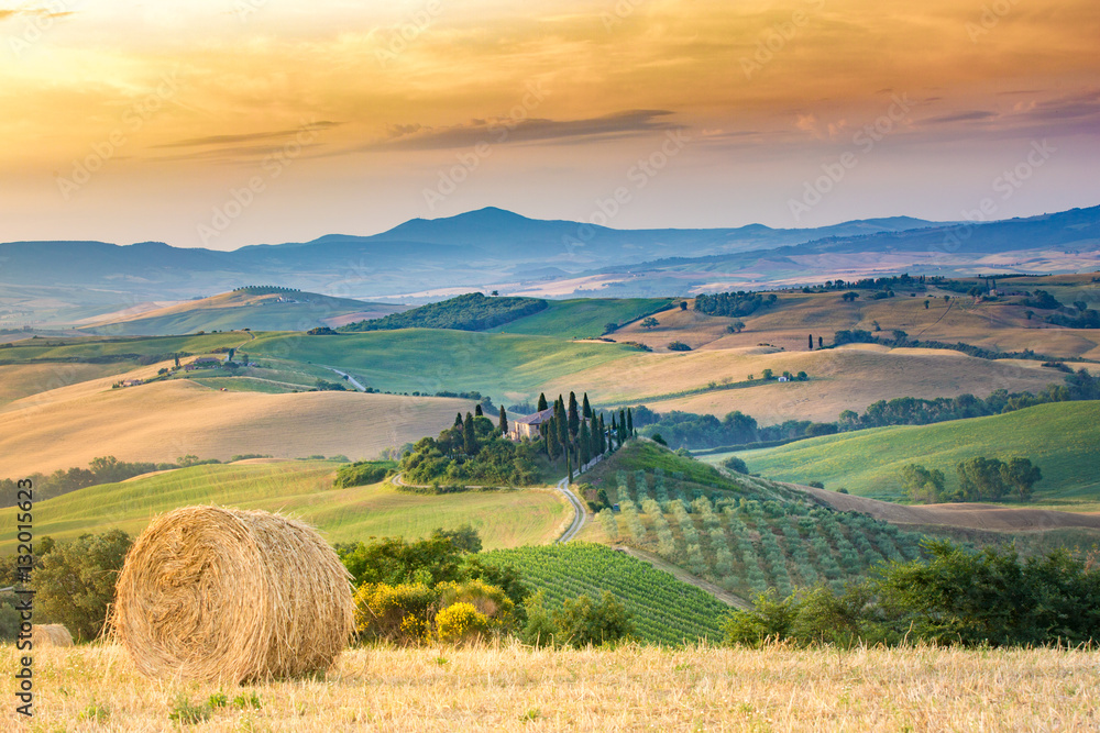 Wall mural Tuscany, italian landscape