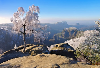 Elbsandsteingebirge im Winter Carolafelsen - Elbe sandstone mountains in winter, Carolarock