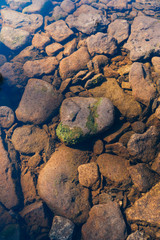 Stony river bottom through transparent water