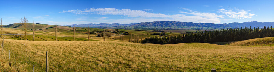 Panorama Scenic View Of Hilly Green Pasture. Canterbury, New Zea
