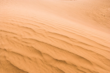 Sand ribs in the Dunes of Mhamid (Sahara), Morocco