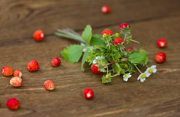 Naklejka na ściany i meble Bush of wild strawberry with berries and flowers on wooden background