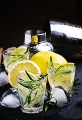 Refreshing lemon drink with rosemary, ice and tonic, black stone