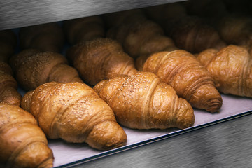 Just baked appetizing croissants