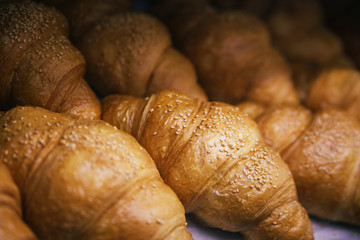 Just baked appetizing croissants