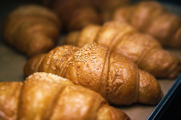 Just baked appetizing croissants