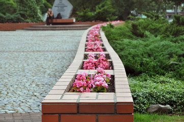 Fragment of urban beautification. Brick flower bed with pink petunia in perspective.
