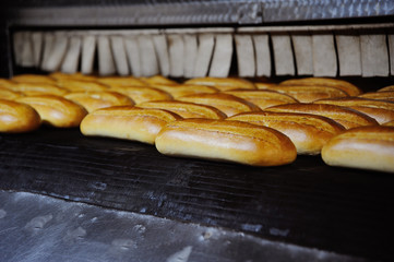 fresh hot loaves close up coming out of the oven at the bakery