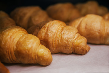 Just baked appetizing croissants