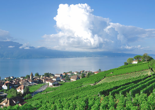 Weinort Bourg en Lavaux fr&uuml;her Cully am Genfersee,Kanton Waadt,Schweiz