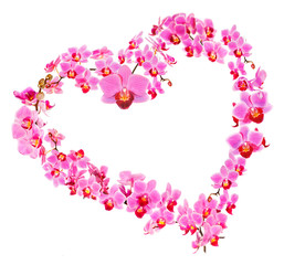 Obraz premium Heart made from Phalaenopsis orchids on white background