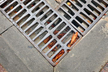 Fragment of street drainage. Metal sewer grate for the collection of water close-up with brown leaves.