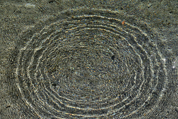 spieglungen auf dem wasser