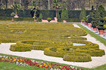Fragment of the park in Ludwigsburg, Baden-Wurttemberg, Germany. Park composition of the bushes of the waveform and trees in pots.