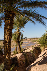 Fototapeta na wymiar River at Zagora, Morocco