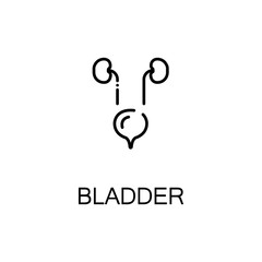 Bladder flat icon