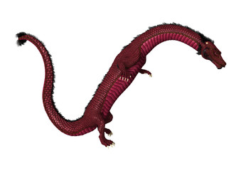 Fototapeta premium 3D Rendering Eastern Dragon on White