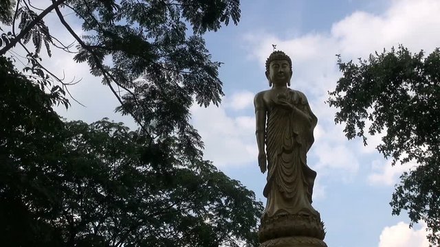 A Buddha statue towering above the trees. Clouds race past in this serine time lapse scene.