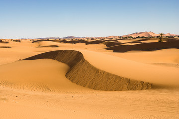 Sunset at the dunes of Hassi Labiad, Morocco