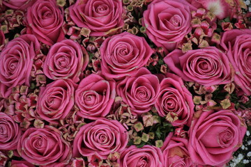 Mixed pink roses