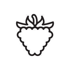 raspberry icon illustration