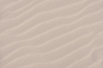 Sand texture. This is sand from Greek beach after strong wind with undisturbed wind compressions.