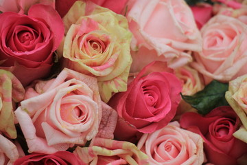 Mixed pink roses