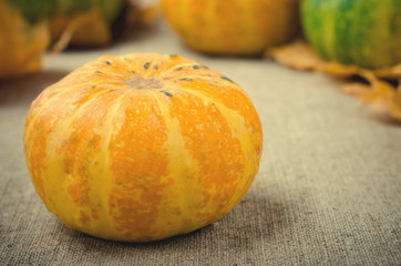 Fall pumpkin and decorative squash with autumn leaves on a linen background