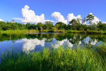 Fototapeta premium Clear blue lake in a forest.