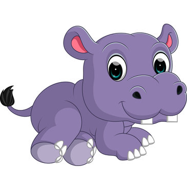 Cute hippo 

