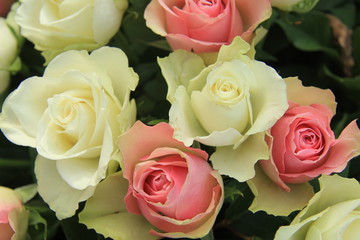 White and pink wedding roses