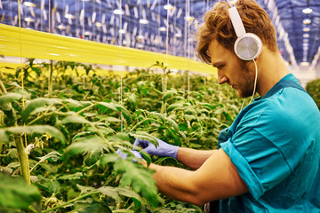 Friendly farmer working on hydraulic scissors lift platform in greenhouse