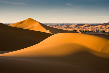 Fototapeta na wymiar Sunrise at the dunes of Hassi Labiad (Sahara) , Morocco