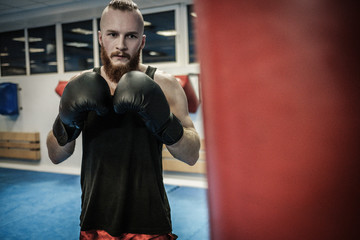Fighter training with punching bag at gym