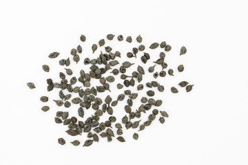 Kair berries (Capparis decidua)