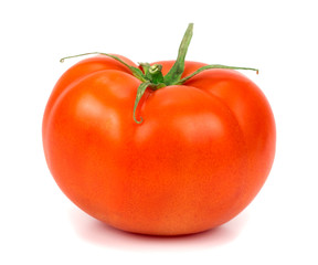 tomato on a white background