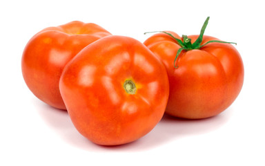 tomatoes on white background