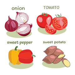 Vegetable icon set in flat style