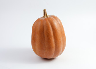 The ripe vegetables. Pumpkin on a white background.