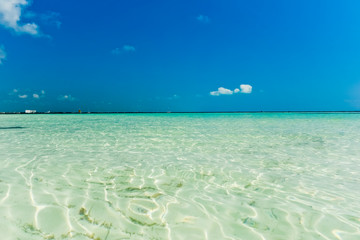Cancun's crystal clear sea