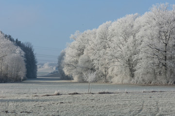 Landschaft im dicken Raureif